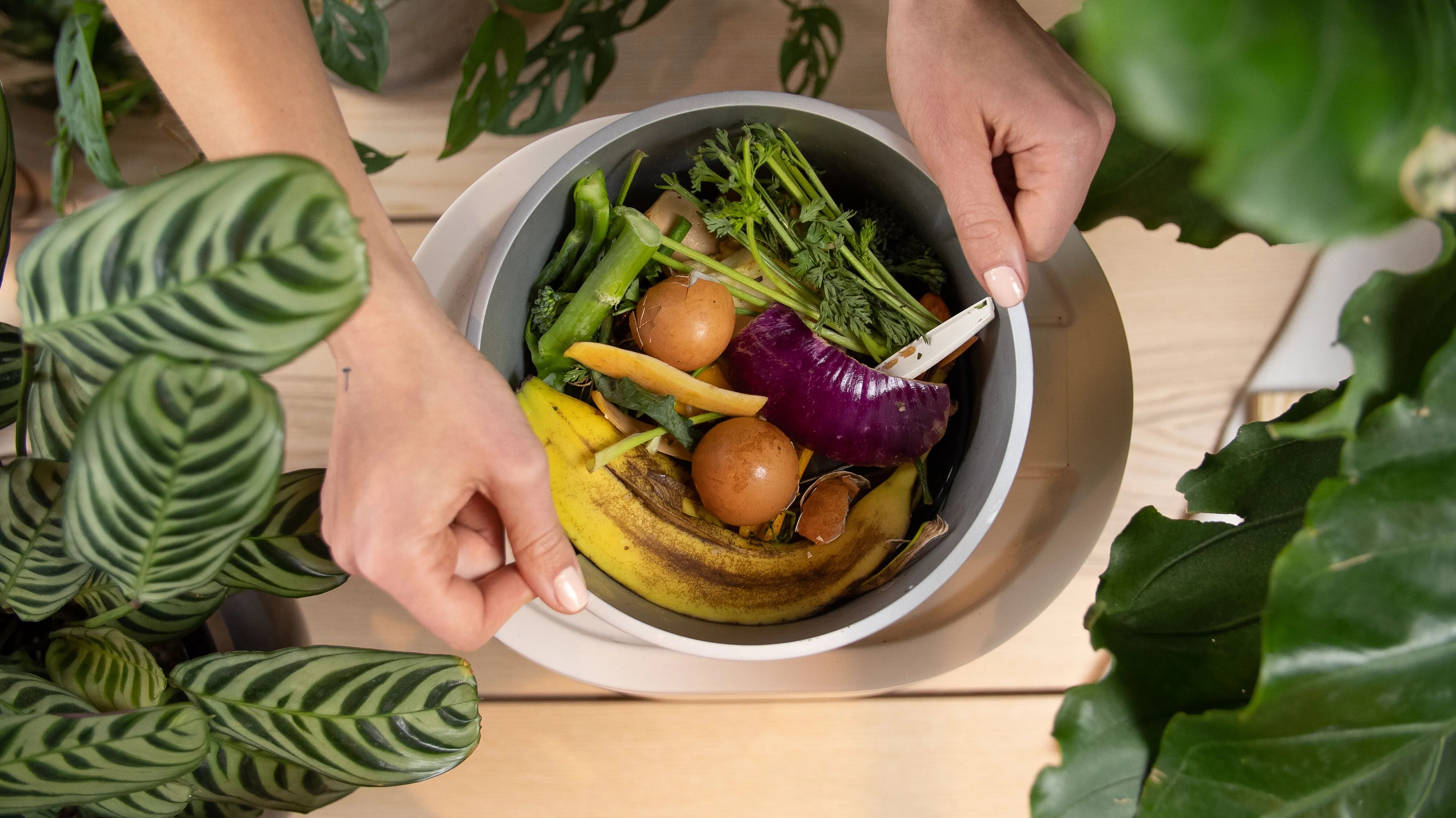 Lomi countertop composter case study, waste-to-soil product creative